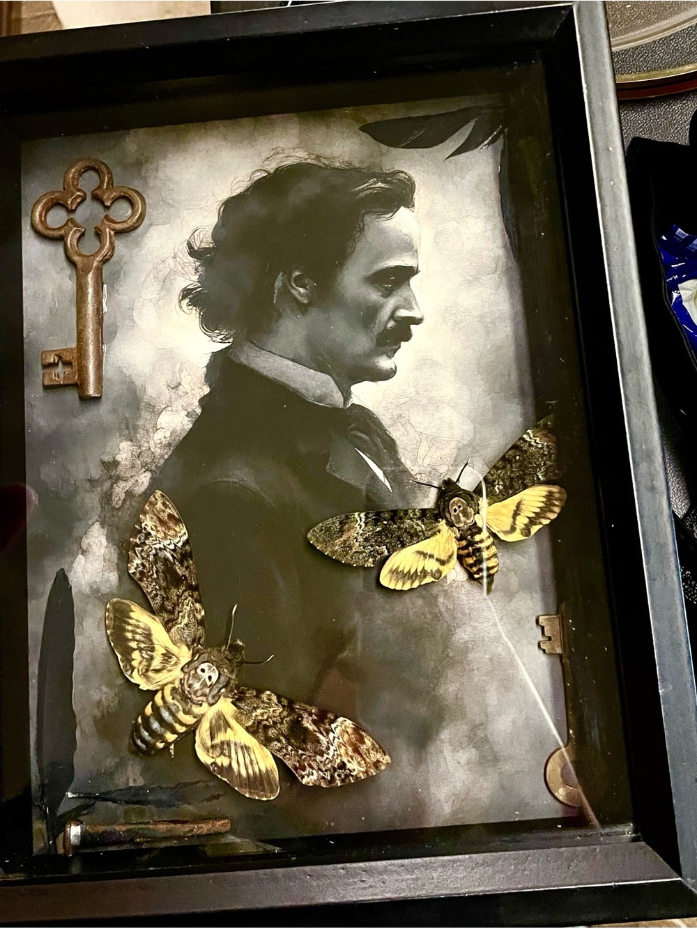 Edgar Allan Poe Shadowbox with Deaths Head Moths